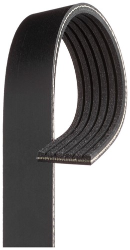Alternator belt ribbed for - belt,