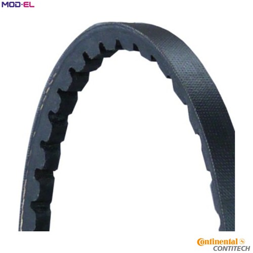 Vbelt avx10x795 for audi - vbelt,