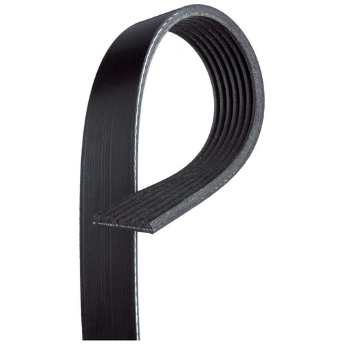 Rib multi drive belt - belt, for