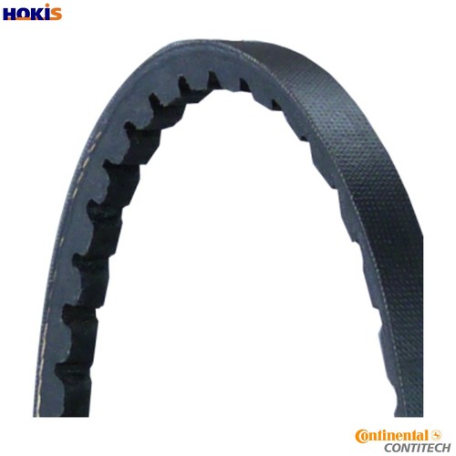 Vbelt avx10x795 for audi - vbelt,